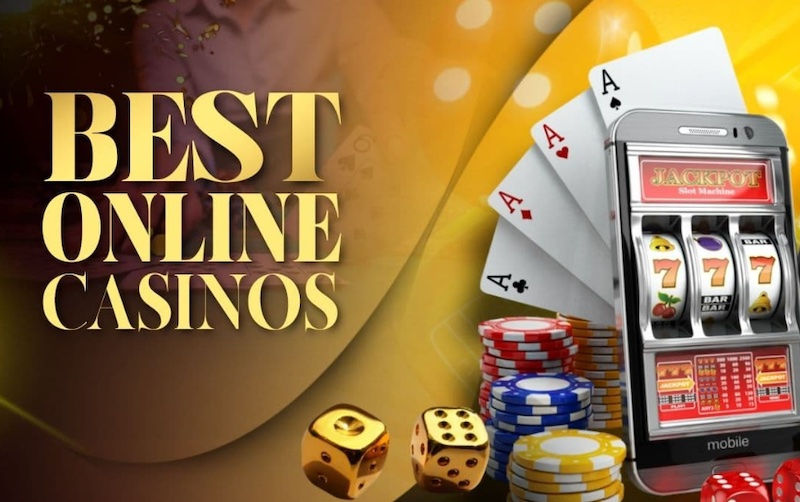 The Exciting World of Casino DogsFortune UK