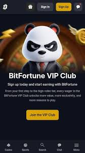 Discover the Best Live Tables at Bitfortune -1321024809