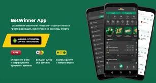 BetWinner A Comprehensive Overview of the Betting Company 522591738